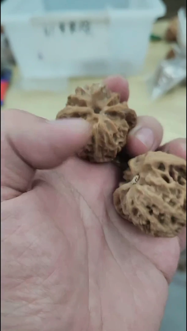 把件核桃福利【苹果园】#41094972