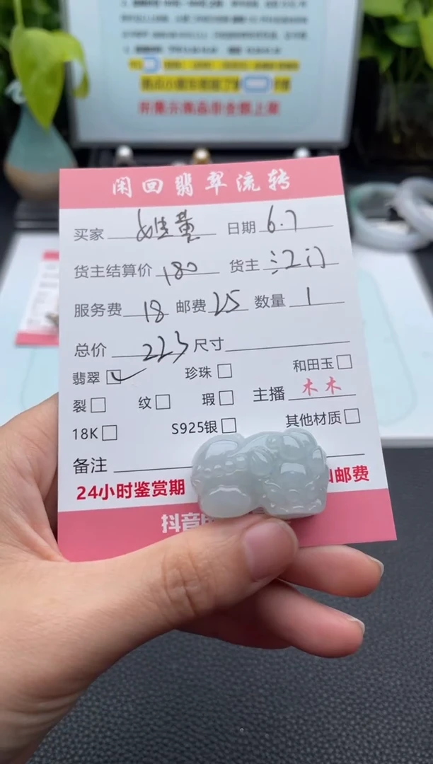 翡翠未镶嵌颈饰吊坠