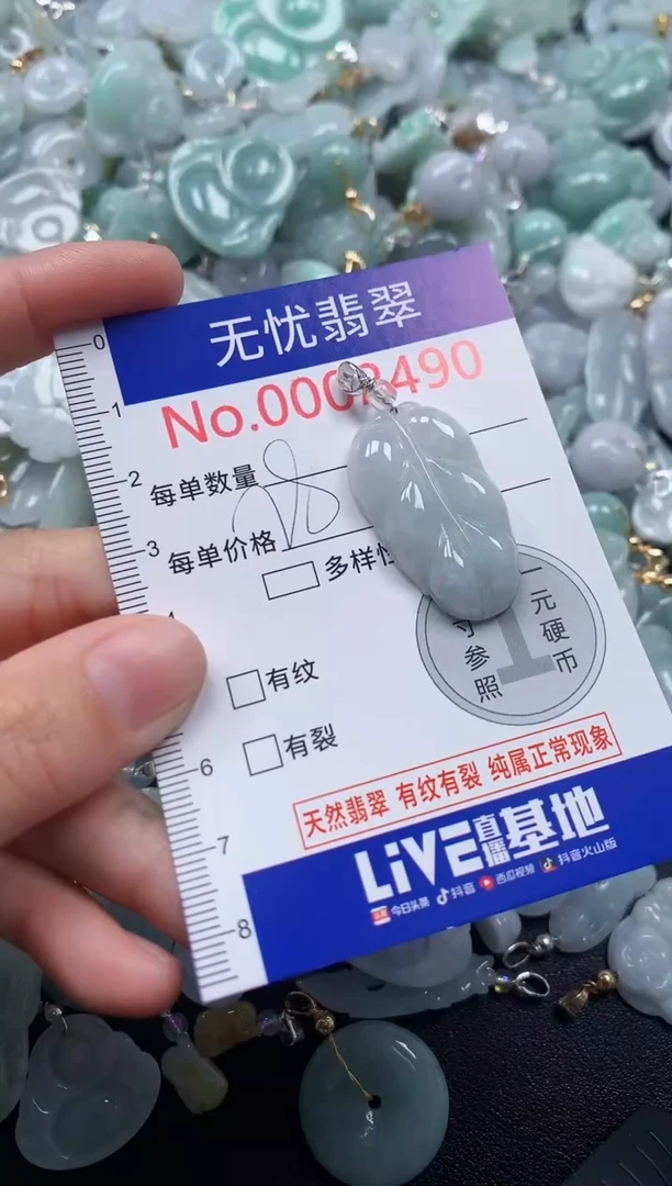 颈饰未镶嵌翡翠2490