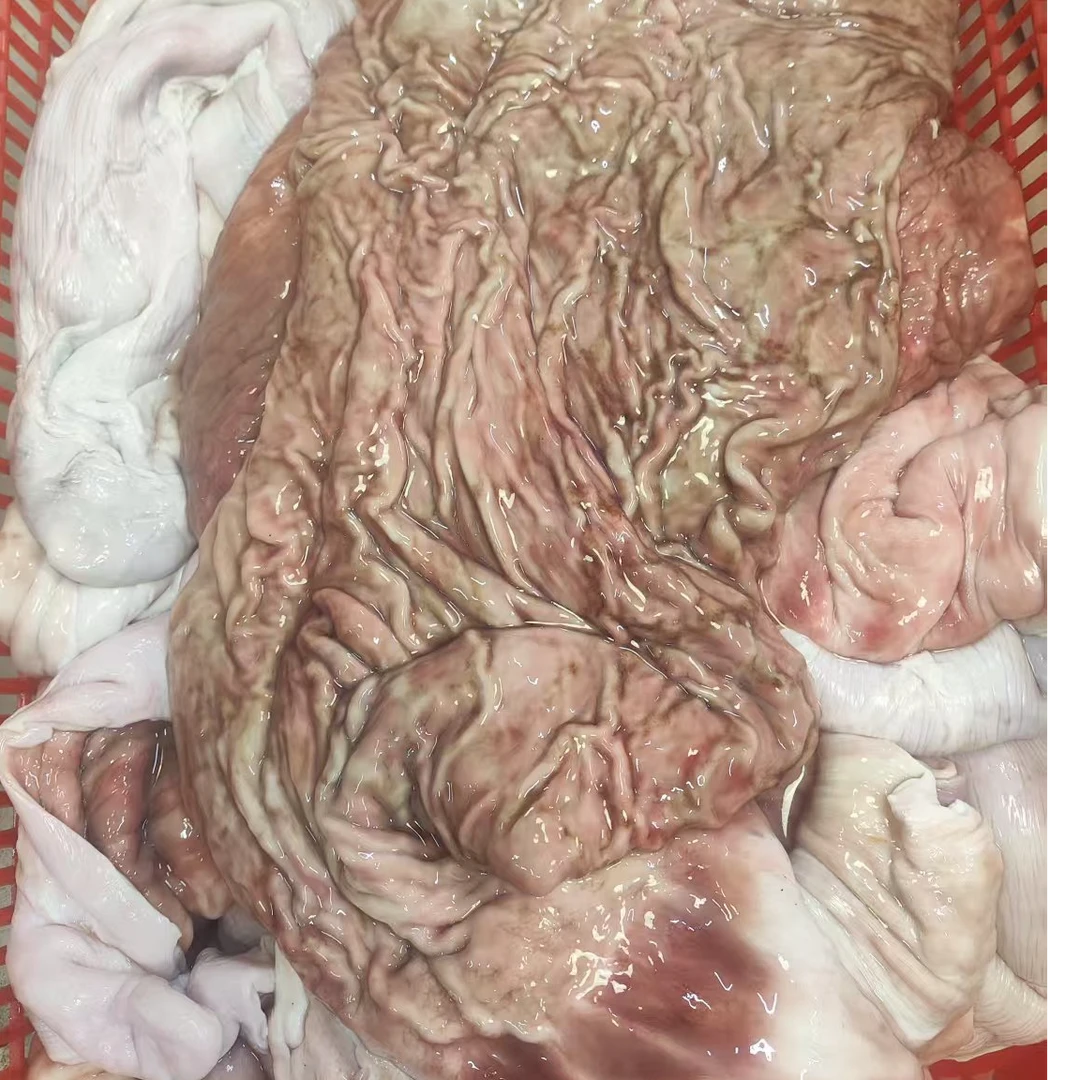鳐鱼肚 顺丰京东发货