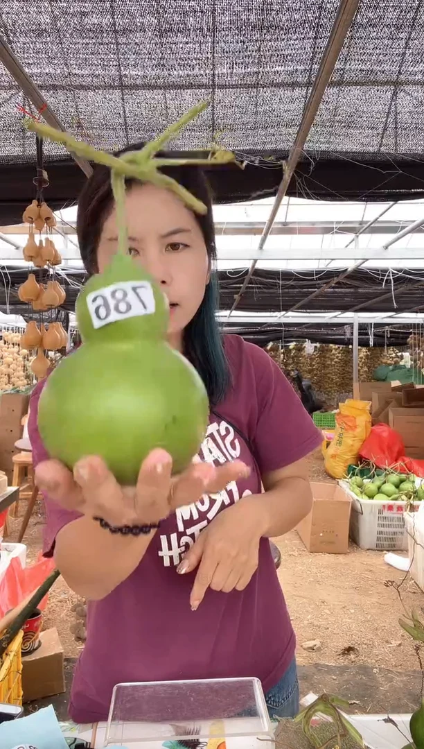 786天然葫芦摆件 一物一拍龙头不保售后