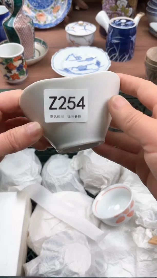 【闪购商品】瓷片254