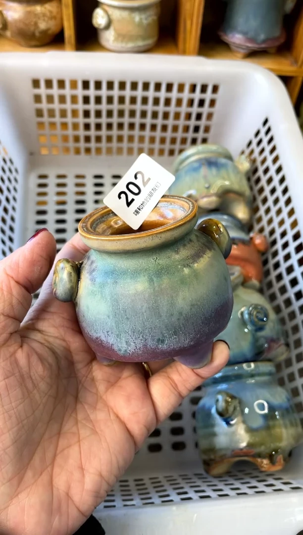 【闪购商品】陶202