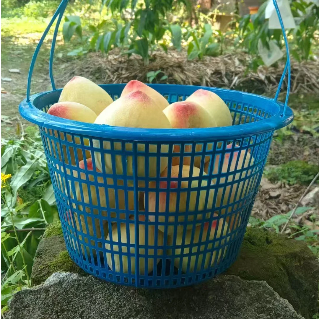 仅限周边自提整篮6斤大小混装农家桃子脆甜多汁