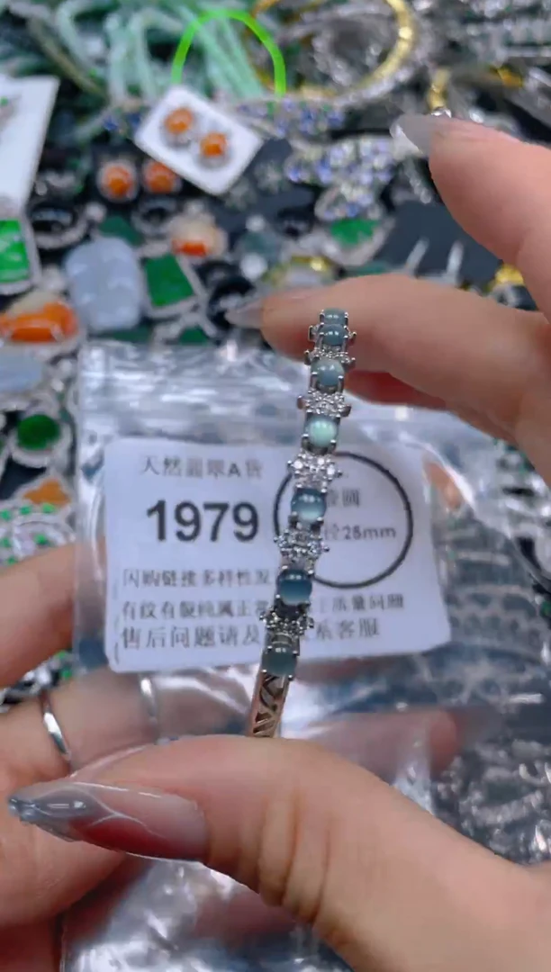 颈饰未镶嵌翡翠1979
