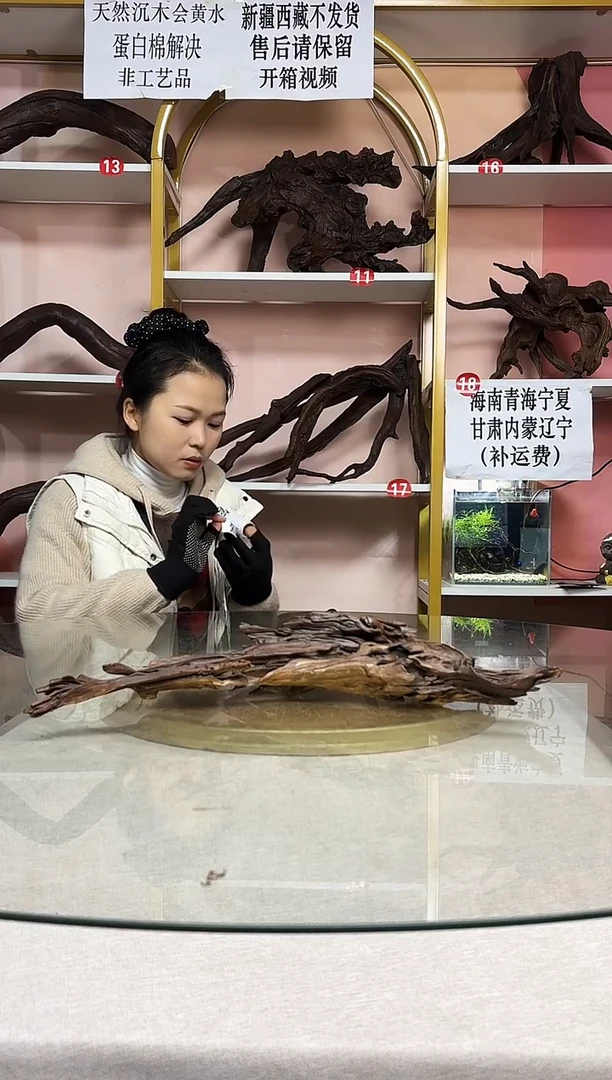 A*鱼缸沉木造景素材A942