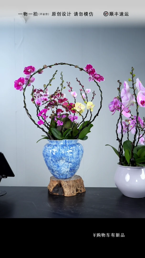 【闪购商品】101号链接【一物一拍】艺术盆景