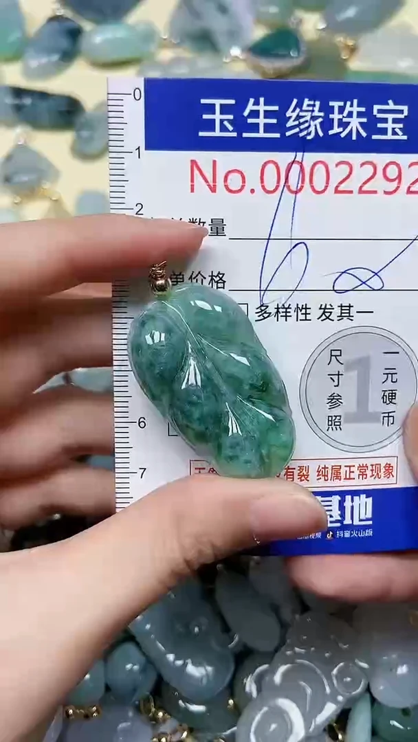 【闪购商品】翡翠颈饰未镶嵌闪购00002292