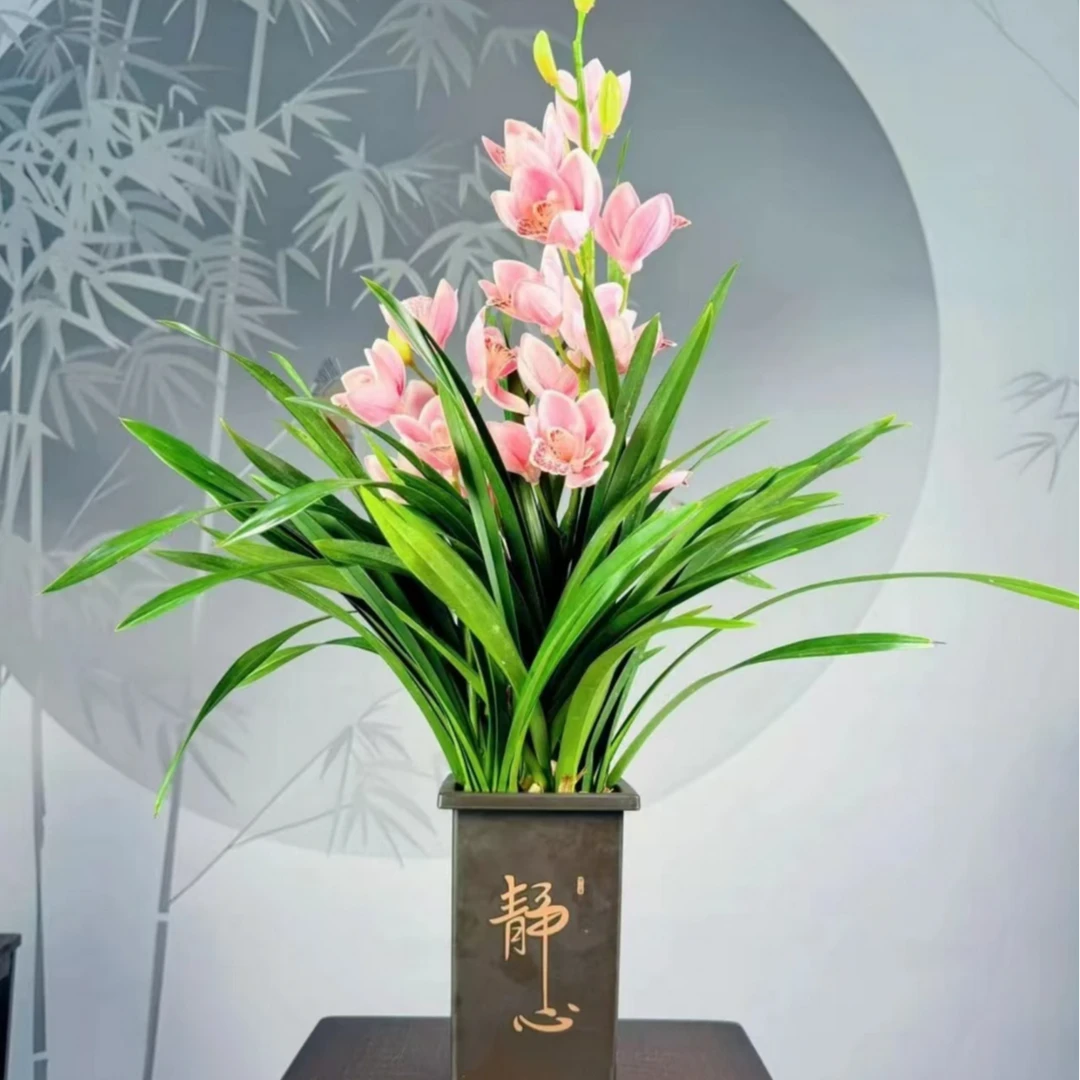 【林黛玉】桌摆款 兰花蕙兰绿植盆栽花卉阳台客厅