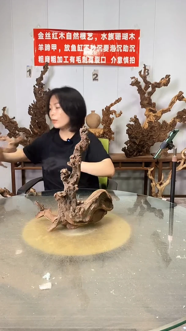 香榧木蓝**?金丝红木 羊蹄甲