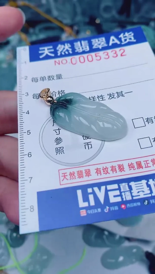 颈饰未镶嵌翡翠00005332