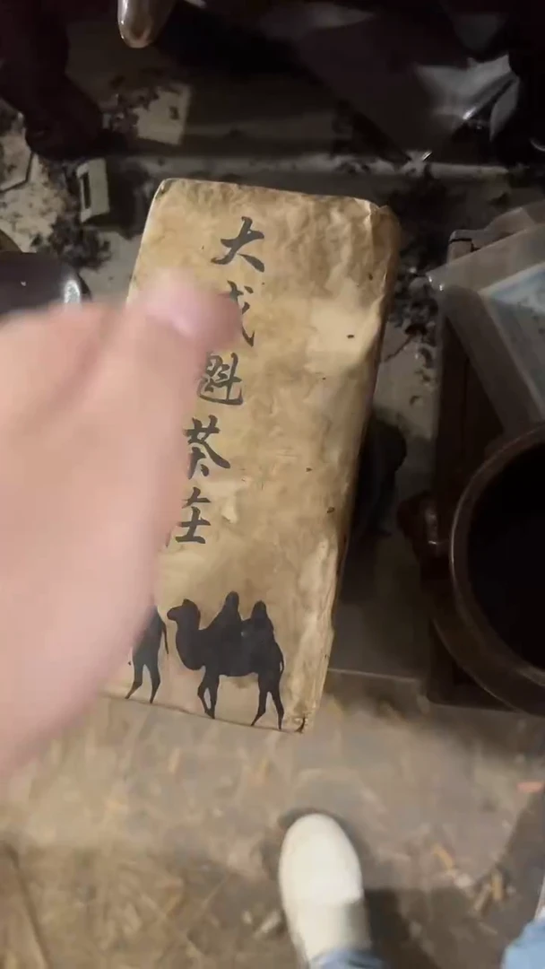 紫砂紫砂紫砂紫砂紫砂紫砂