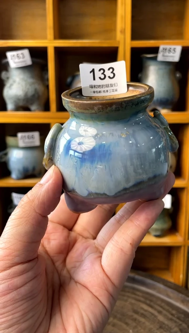 133【多肉花盆多肉盆】