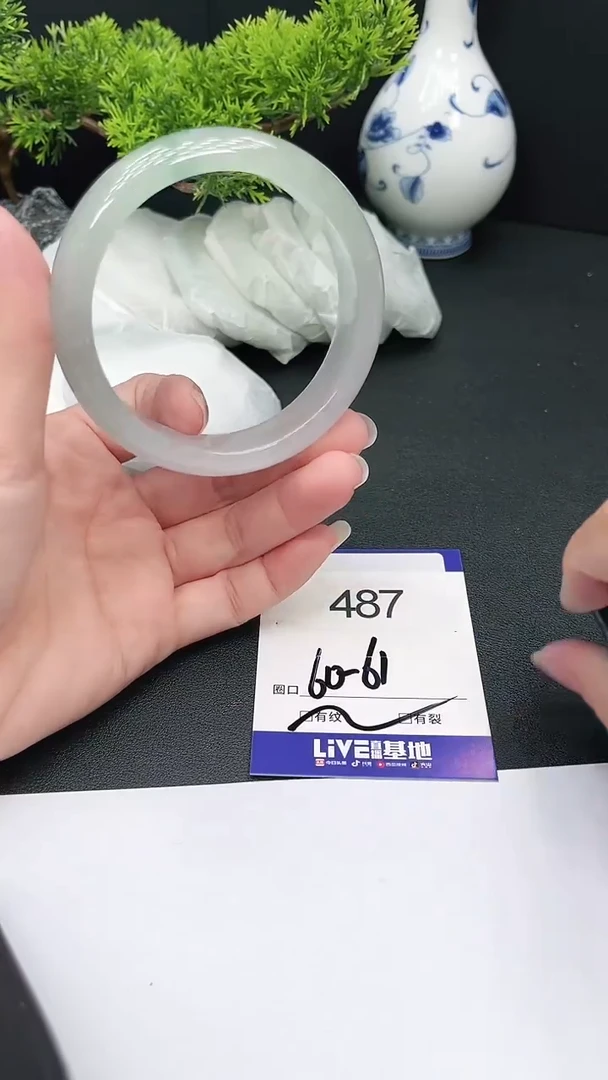 未镶嵌手镯翡翠487