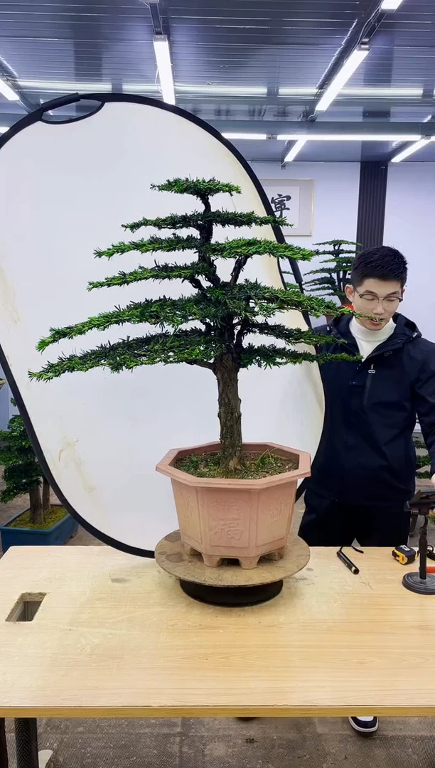 无花朵00000000000000000000000