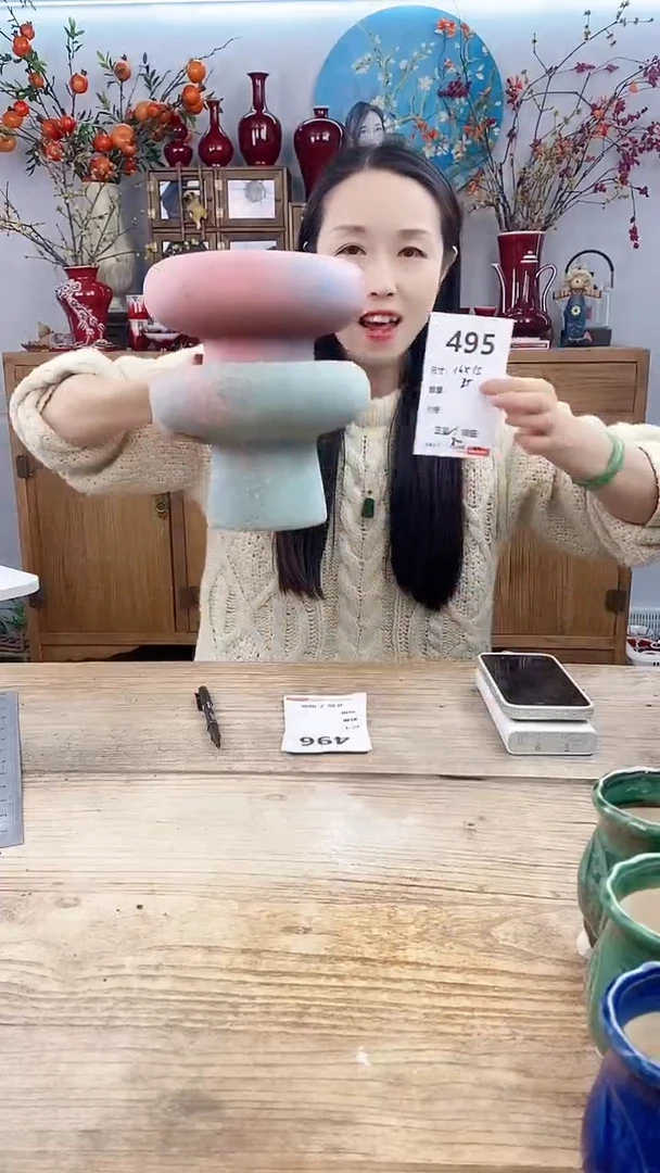 【闪购商品】红陶495