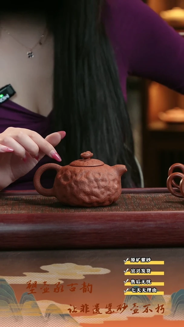 茶壶紫砂宜兴紫砂茶壶灵芝供春