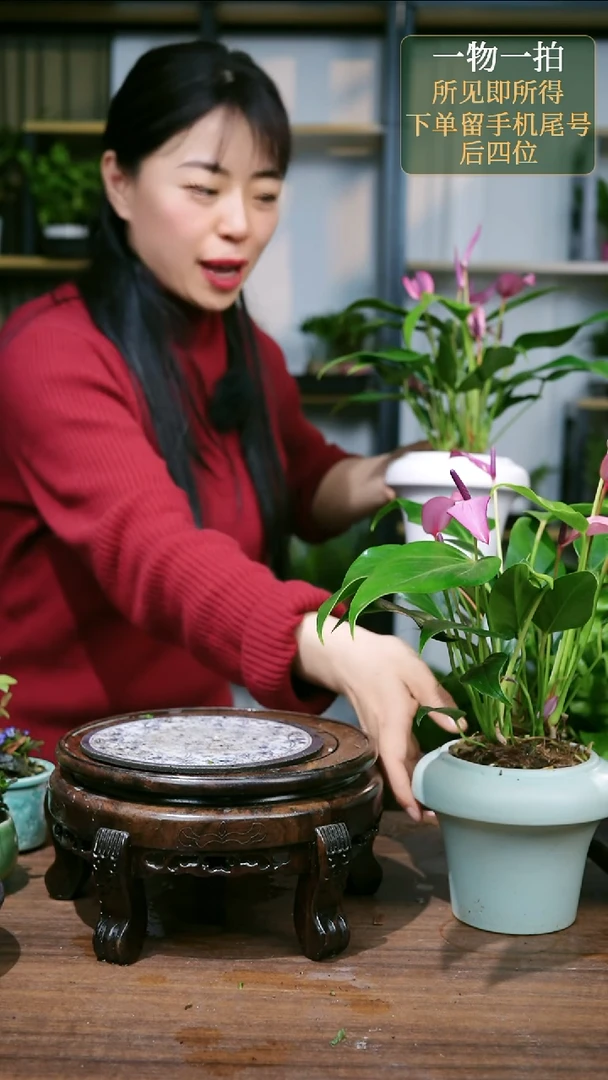 【闪购商品】一物一拍