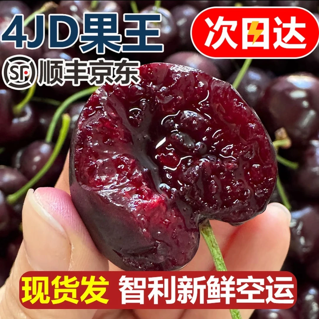 W【顺丰明日到】4JDD加大加黑果王智利空运桑提娜SANTINA车厘子新鲜头内附果径卡800克桑提娜樱桃智利共和国