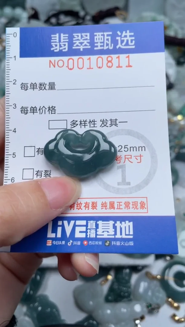 颈饰未镶嵌翡翠10811