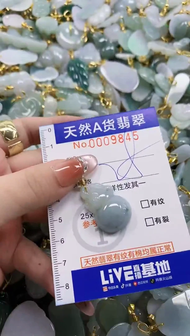 颈饰未镶嵌翡翠天然A货翡翠