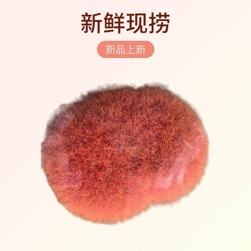 新鲜现捞红线虫，鱼食