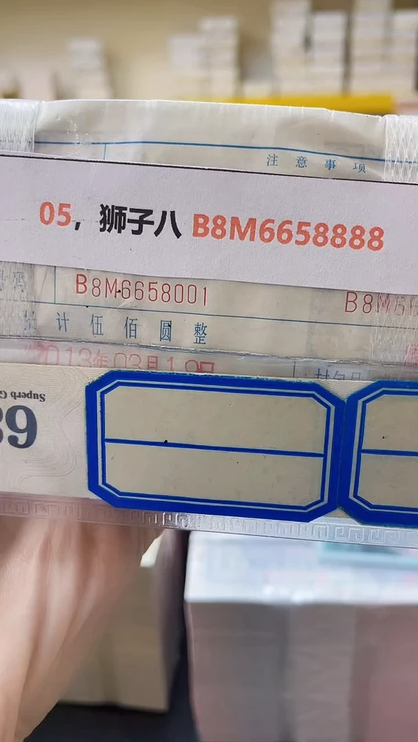 M 05，狮子八 B8M6658888