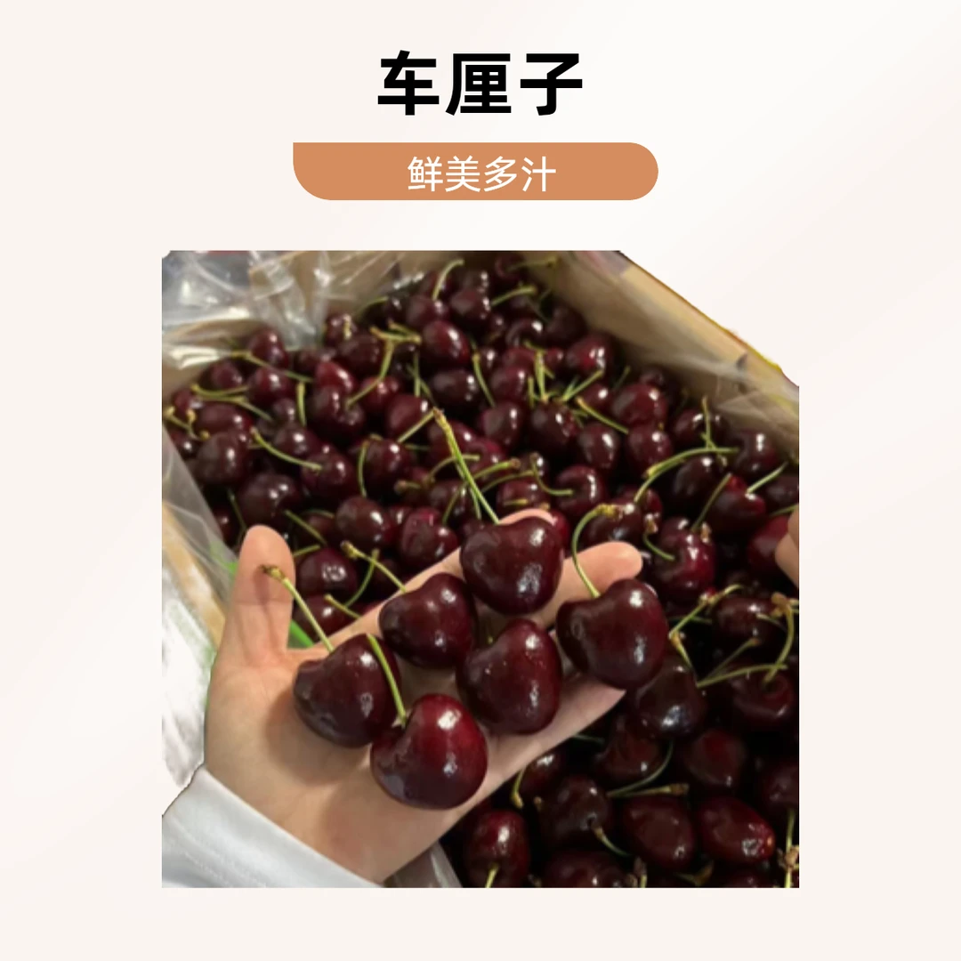 车厘子3JDD一盒装（500g）