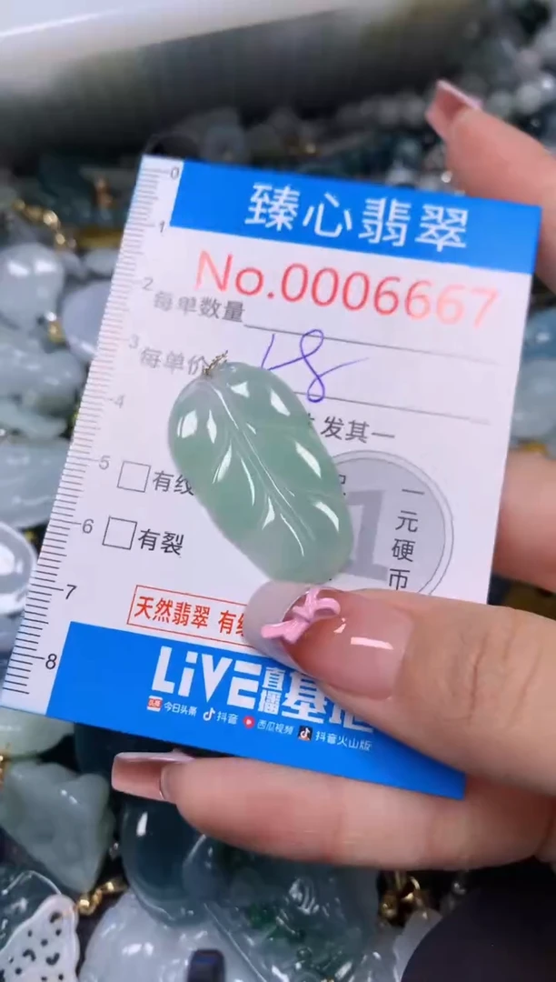 【闪购商品】翡翠颈饰未镶嵌含绳0006667