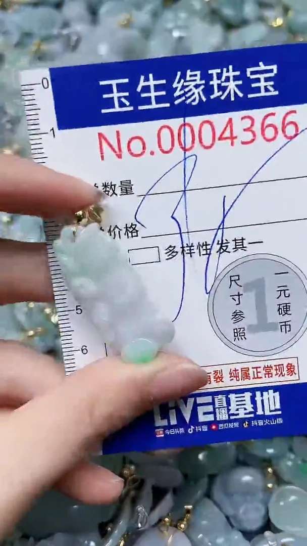 【闪购商品】翡翠颈饰未镶嵌闪购00004366