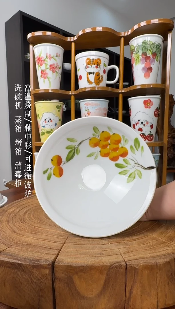 瓷片景德镇手绘釉中彩（食品级）大斗笠碗