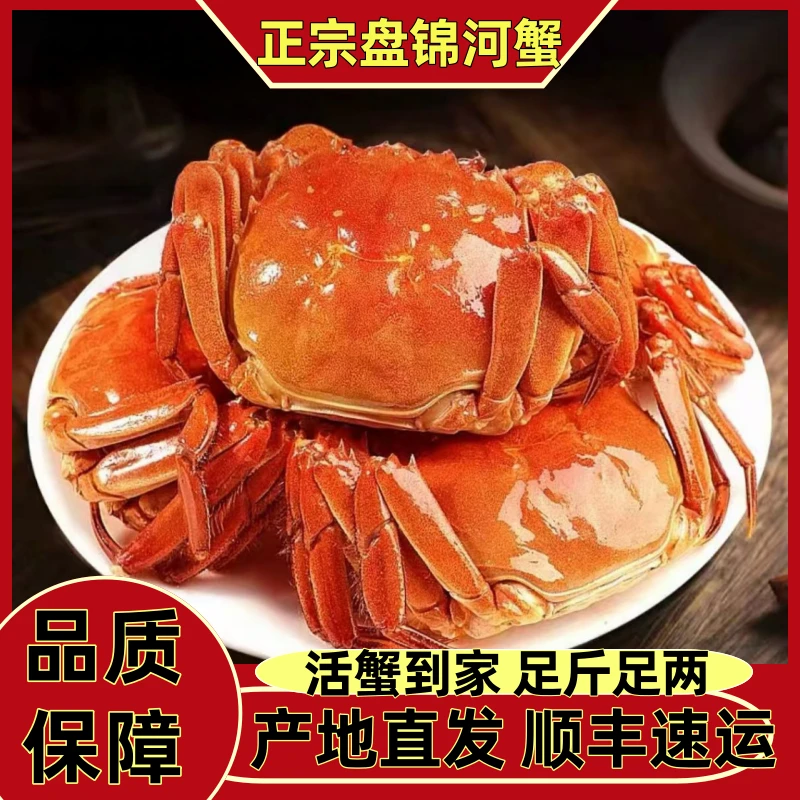 【活蟹】盘锦河蟹母蟹【1.6-1.4两（10只）（16只）】死蟹包赔顺丰包邮