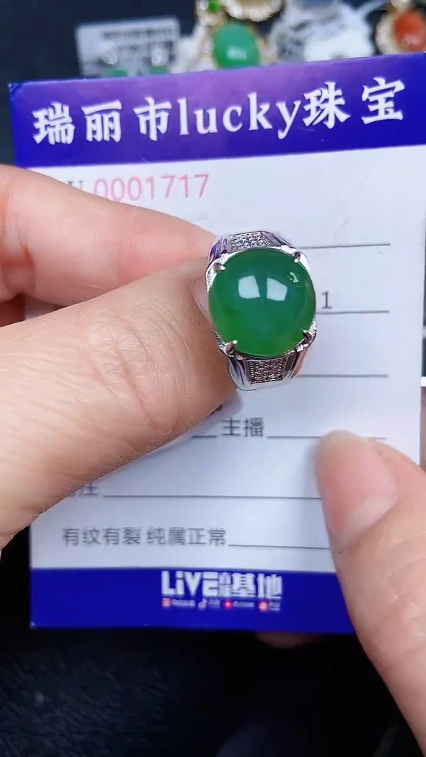 颈饰银S925镶嵌翡翠1717