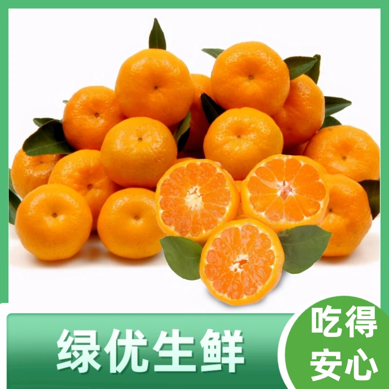 新鲜酸橘子约1000g广西壮族自治区