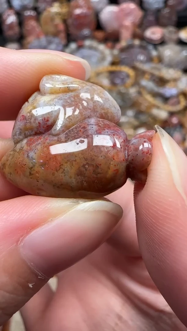 颈饰未镶嵌硅化珊瑚（珊瑚玉）643