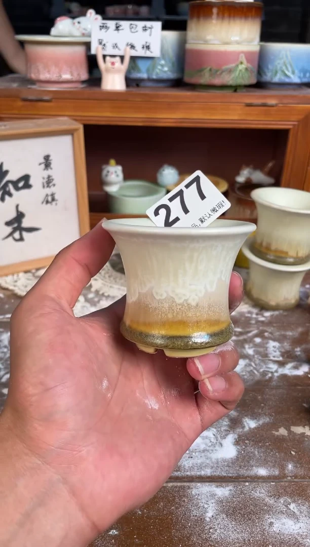 瓷片277知木小芳花盆直播编号