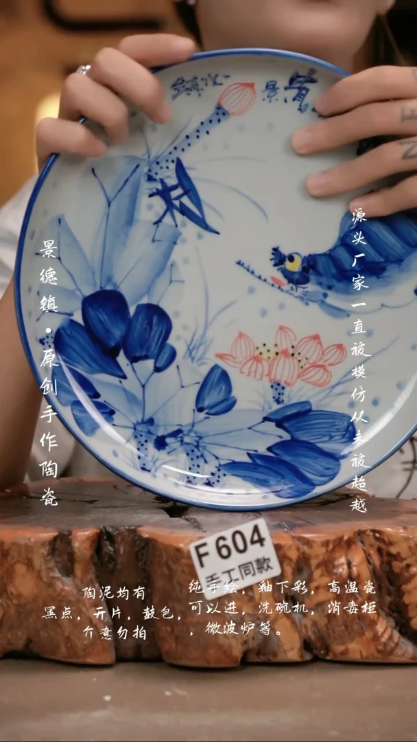 其他F604新十二器