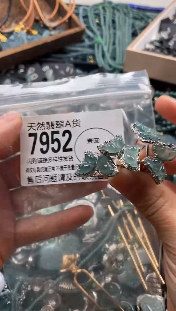 【闪购商品】翡翠颈饰未镶嵌多样性发其一7952