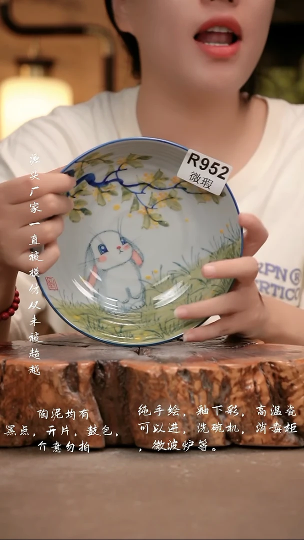 其他WR952 新十二器