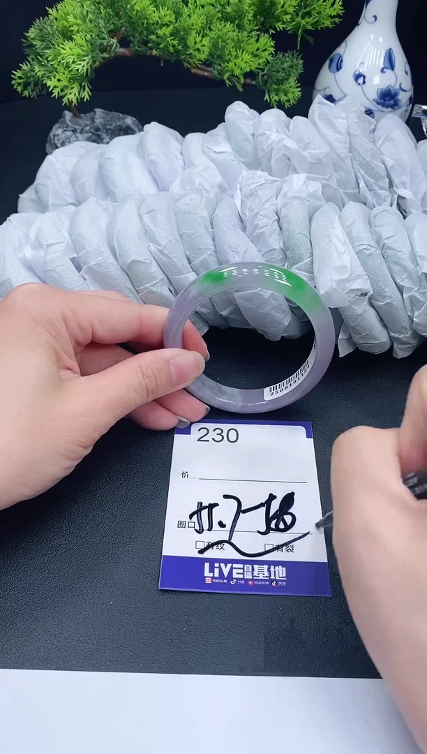 未镶嵌手镯翡翠230