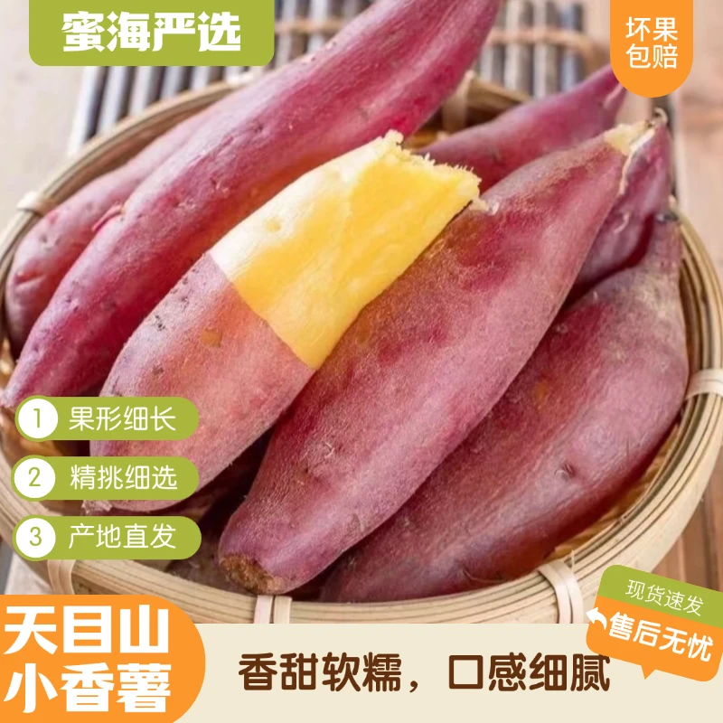 【蜜海严选】临安天目山小香薯4.5斤中果25-40根正宗沙地板栗小香薯