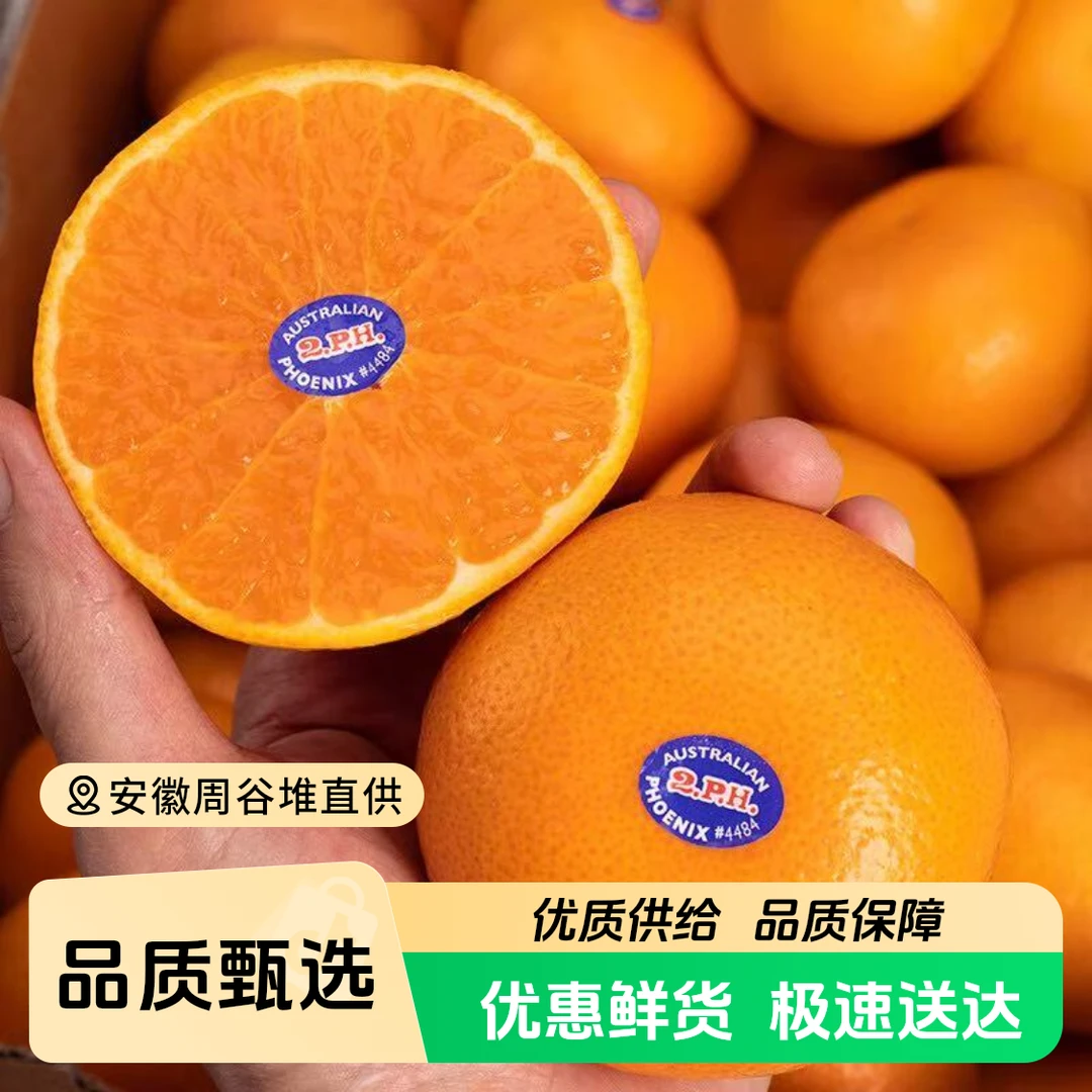 【江浙沪次日达】2PH澳橘净重3斤皮薄多汁超甜润香甜爽口（14）