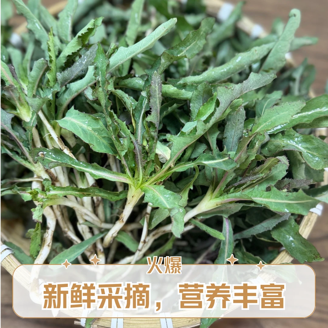 野生曲曲芽、曲麻菜农户现挖野菜（助农）京东生鲜加冰袋送货到家1-2斤绿色蔬菜