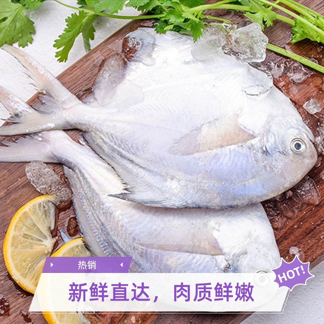 【5斤装】海捕新鲜鲳鱼银鲳鱼海鲜冷冻肉鲳鱼顺丰京东包邮