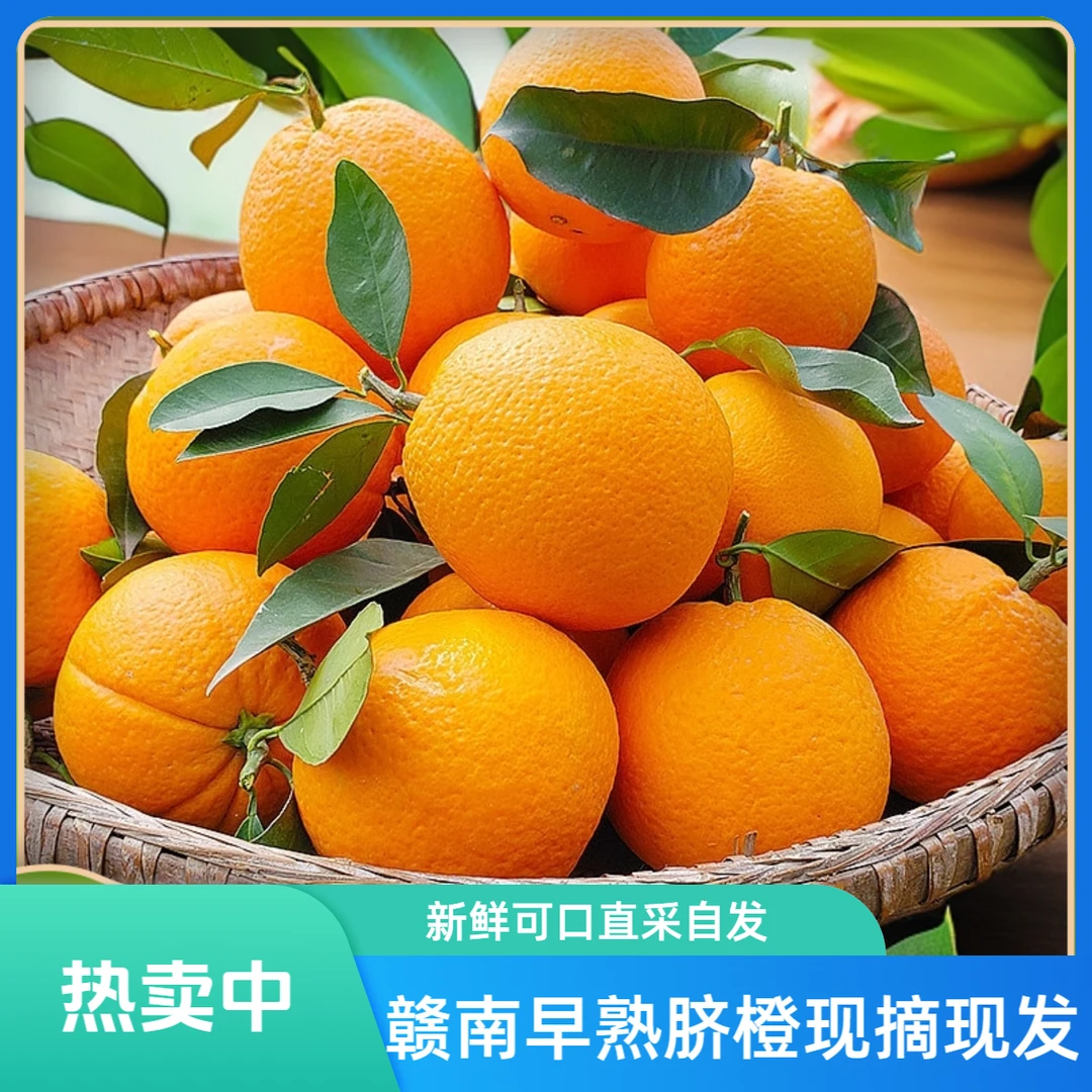正宗江西赣南早熟脐橙自家果园直发不催熟不早采现摘现发新鲜包邮