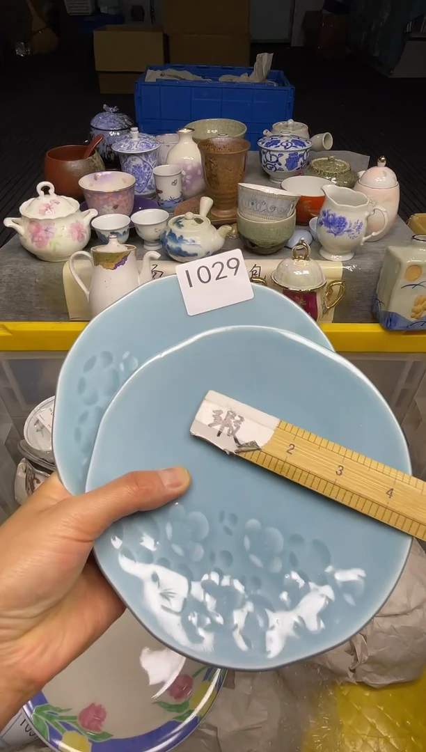 【闪购商品】其他乐乐中古回流