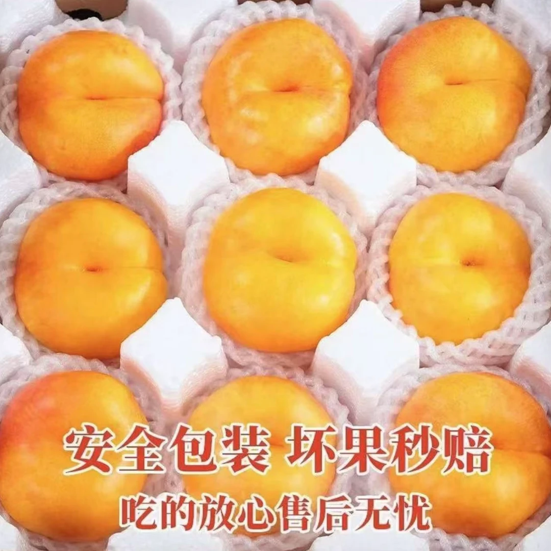 山东蒙阴油盘桃彩虹油盘桃芒果蟠桃5斤新鲜夏日尝鲜