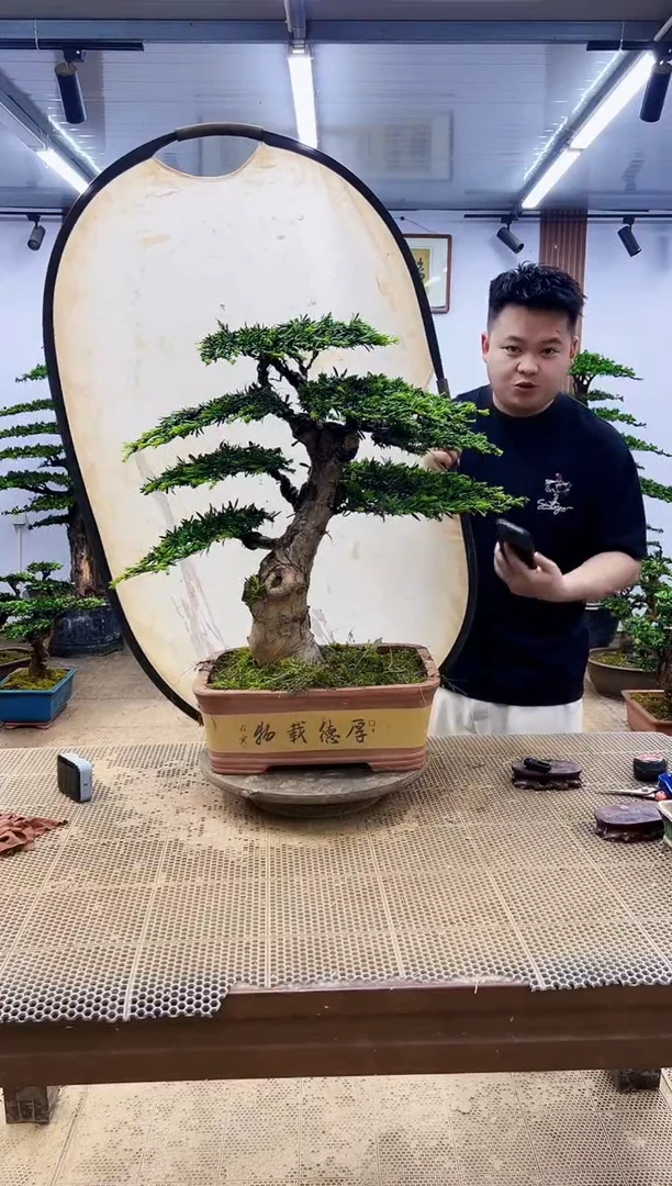无花朵一物一拍，所见即所得