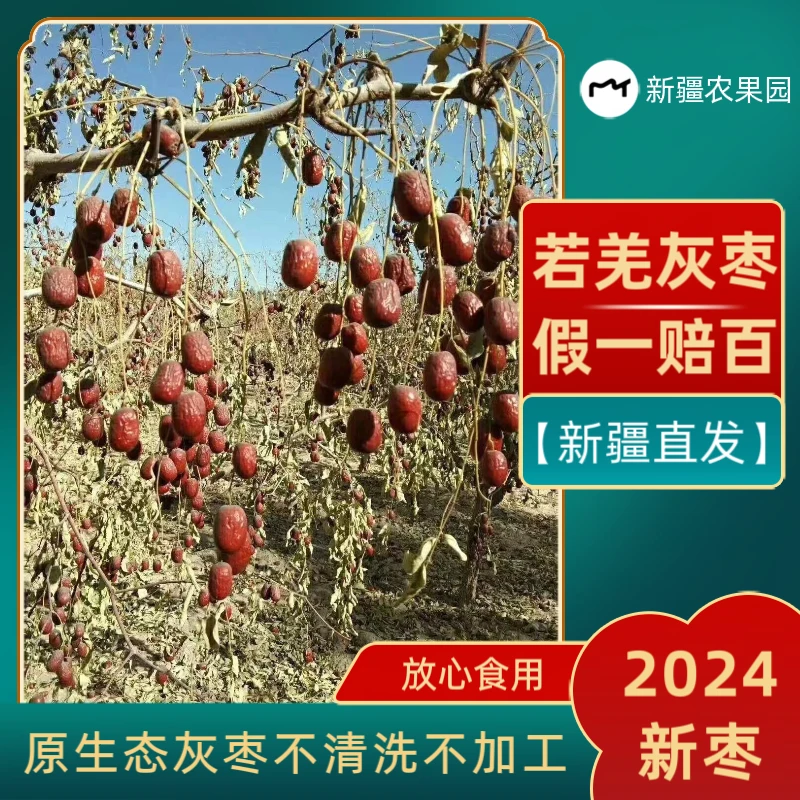 【正宗若羌灰枣】2024原生态小灰枣树上吊干肉厚核小软糯香甜