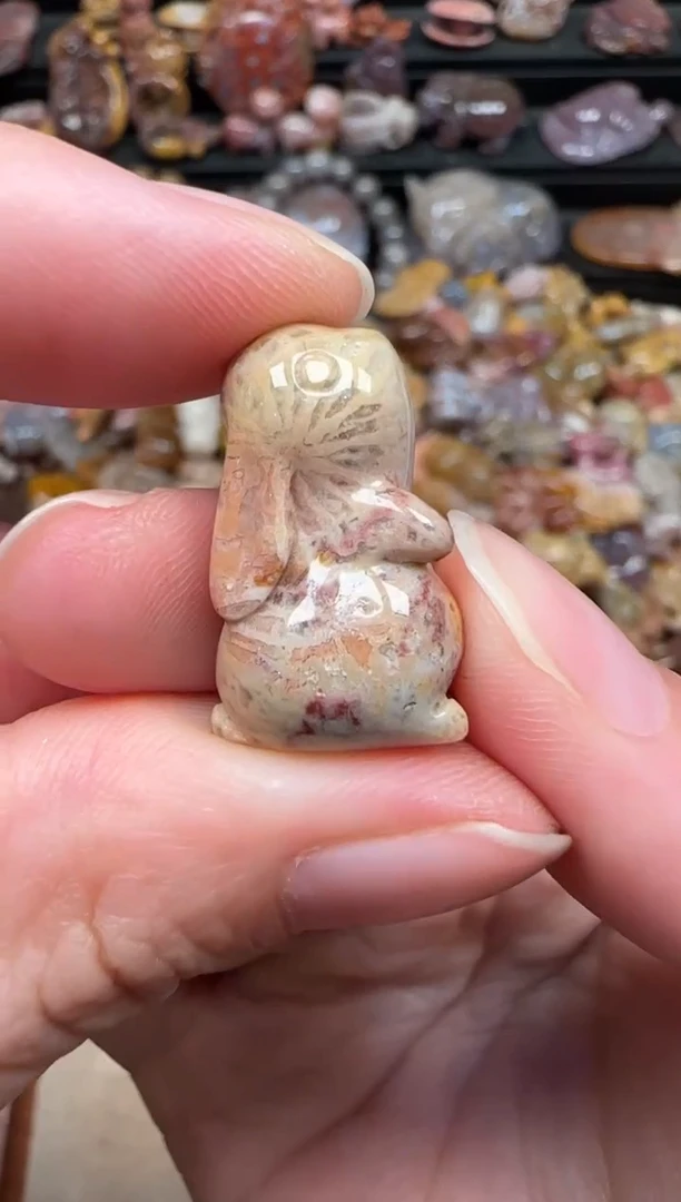 颈饰未镶嵌硅化珊瑚（珊瑚玉）343
